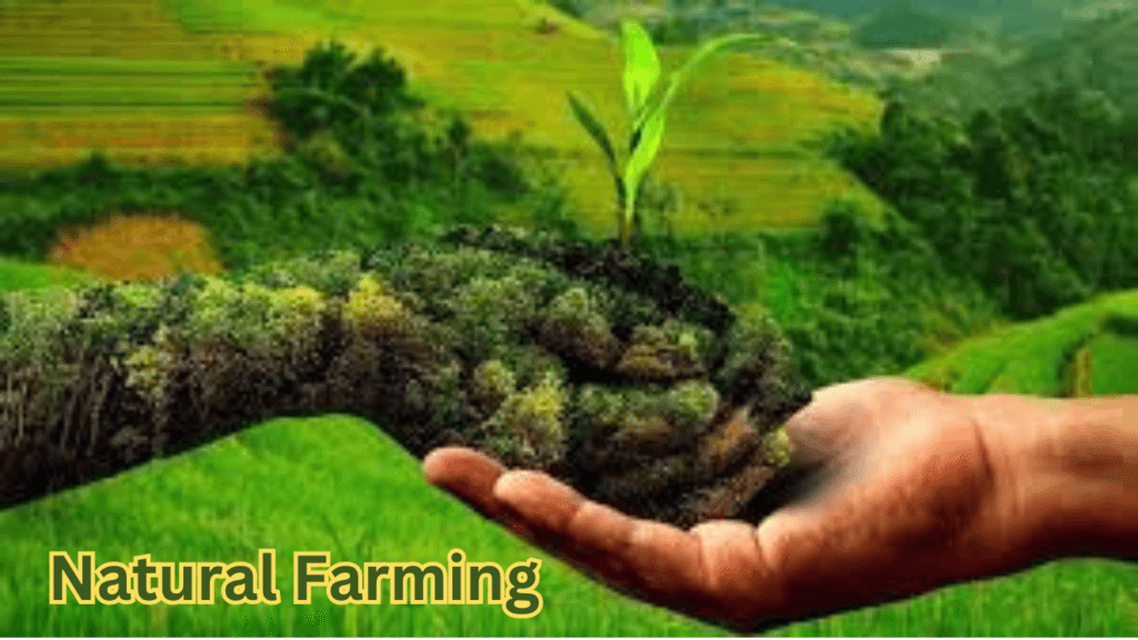 What is Natural Farming?