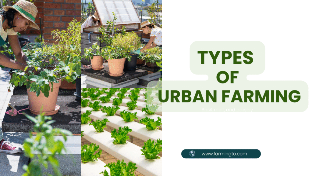 Types of Urban Farming